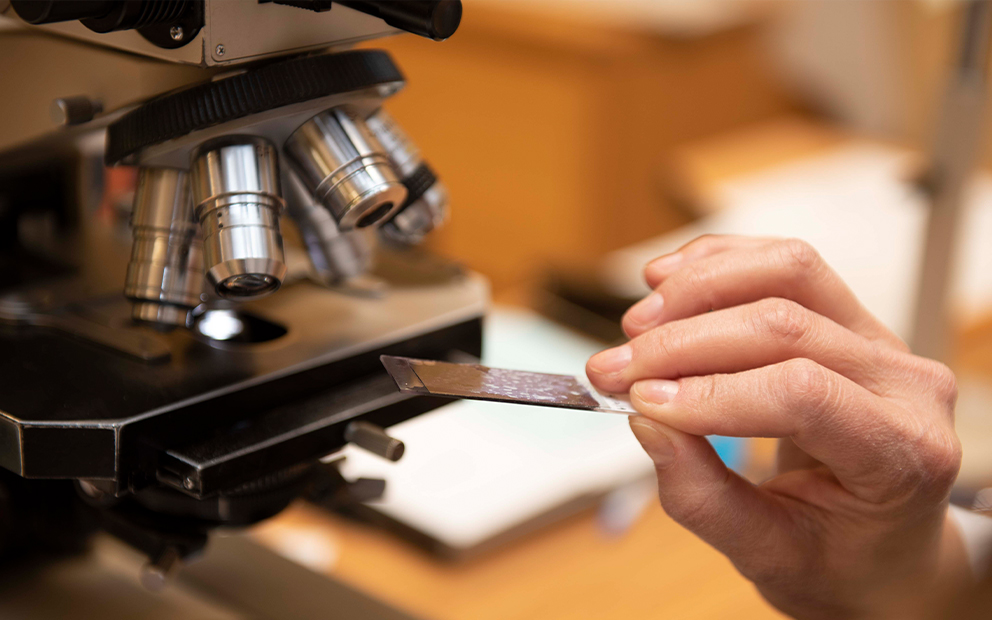 Upclose image of microscope and slide