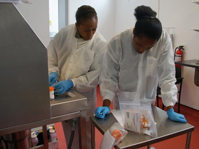 Haiti staff working in a lab